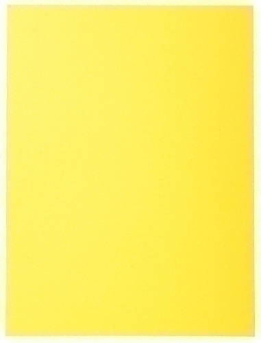 Subcarpeta Exacompta Forever 180 170G A4 Groc Paquet De 100