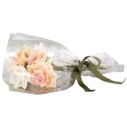 Paper De Regal Bobina Colibri 30 Cm X 30 M Simple Transparent (Apte Per a Aliments)