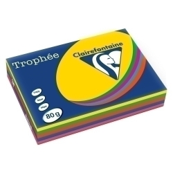 Paper De Color A4 Clairefontaine Trophee 80G 500H Assortiment Intensos Vius