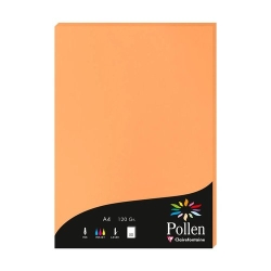 Paper Clairefontaine Pollen A4 120G 50H Clementina