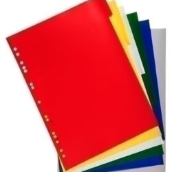 Separadors Exacompta Pp Flexible Opac A4+ 6 Pestanyes 11 Trepants