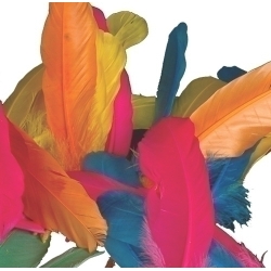 Plomes Indi Niefenver Bossa De 50 Ut (6 Colors Assortits)