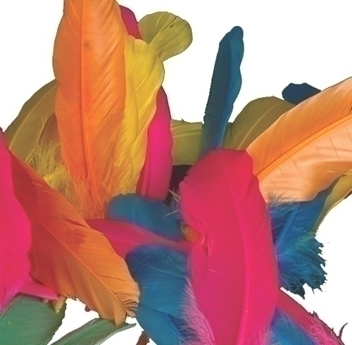 Plomes Indi Niefenver Bossa De 50 Ut (6 Colors Assortits)