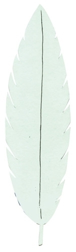 Cartolina Imantada 24X15 Cm. Per Pintar I Decorar Verd Bossa De 3