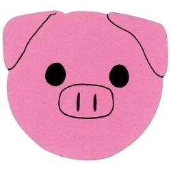 Cartolina Imantada 24X15 Cm. Per Pintar I Decorar Rosa Bossa De 3