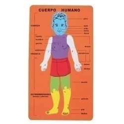 Goma Eva Fixo Kids Puzle 20X32 Cm. Cos Humà