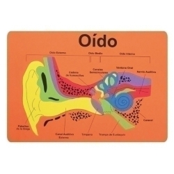 Goma Eva Fixo Kids Puzle 26X36 Cm. Sistema Auditiu