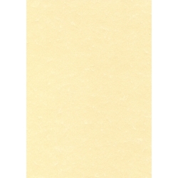 Paper Pergamí A4 Apli 95G 100H Xampany