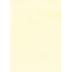 Paper Verjurat A4 Apli 200G 20H Crema