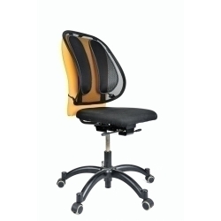 Suport Lumbar Fellowes Mesh