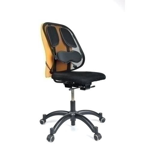 Suport Lumbar Fellowes Mesh Professional