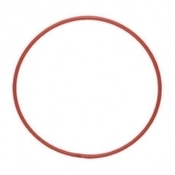 Cèrcol De Gimnàstica Ritmica Adult